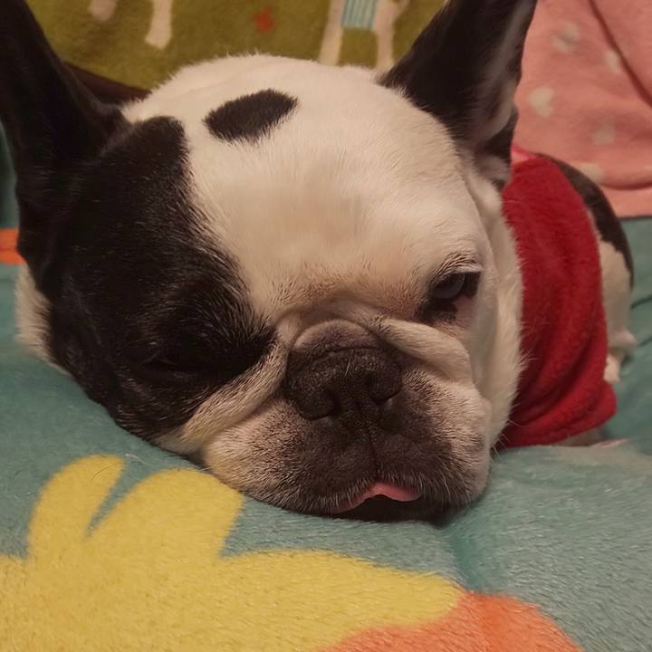 5fb261f8 e37a 4f14 8f28 069e031558d9 1640951009046