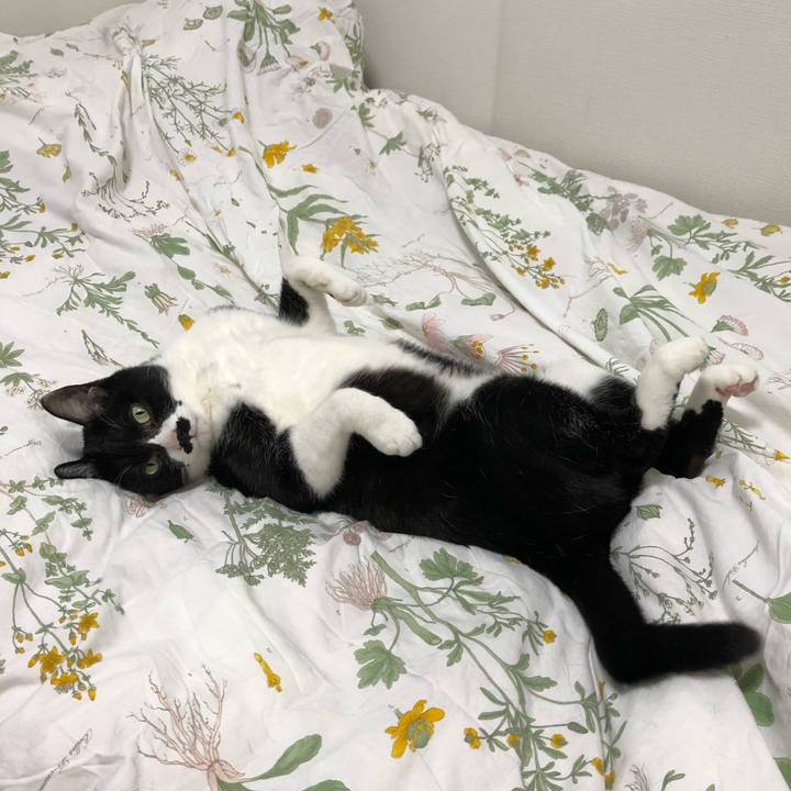 5fb26654 a1be 465d 8b24 c3f2bffc4d16 1586342403889