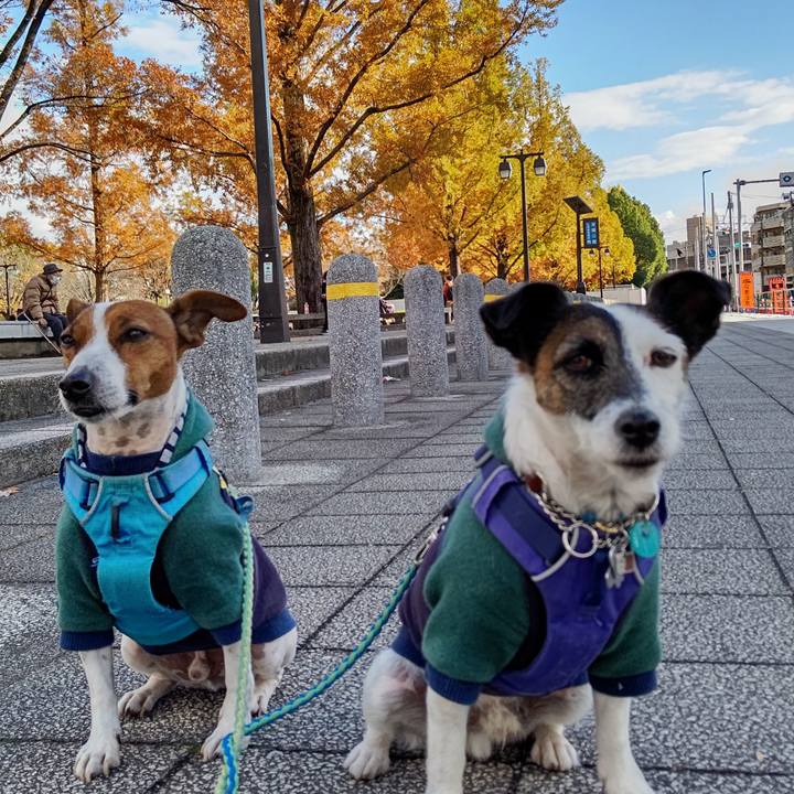 5fb27a60 286f 446a 84e9 714508a3522e 1637641942256