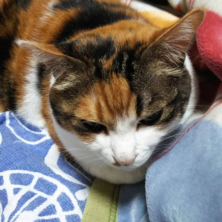 5fb28ade 7c8a 459e 815f 64ec8ba246db 1529531310342