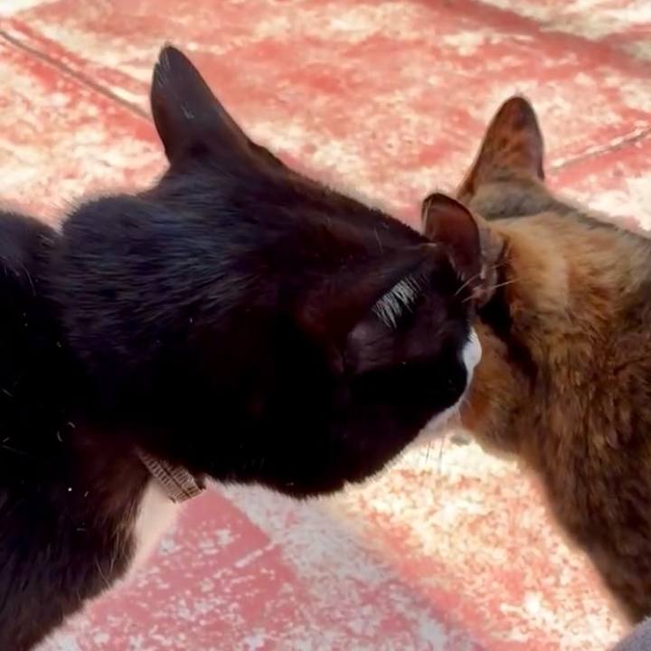 5fb2a73a 8f89 4d76 9169 c62c4cb2d5a6 1745719558174