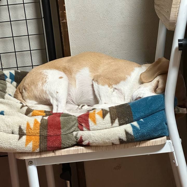 5fb2b910 6292 427d 9252 33f9cb170aa4 1673418332387