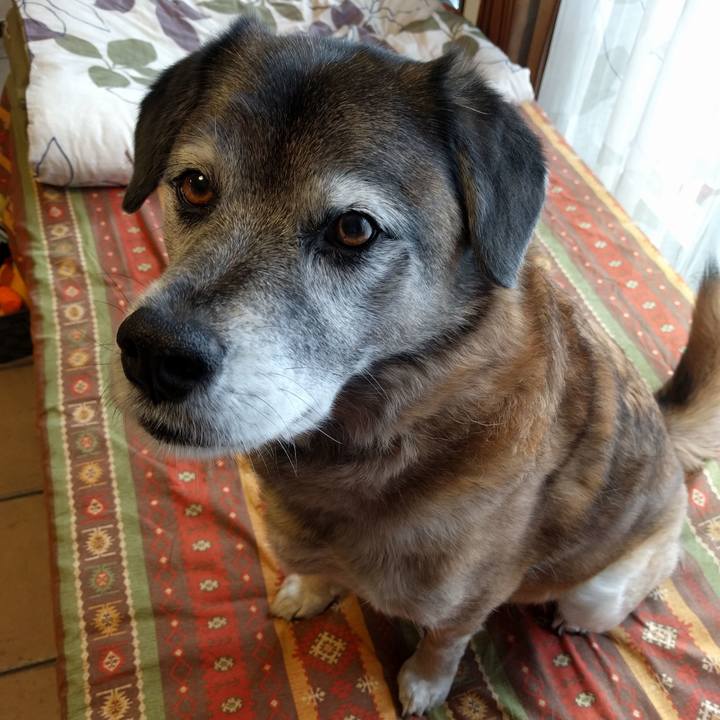 5fb2b954 4d3a 4ba8 8a8f 6e67190d062d 1551099478190