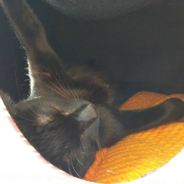 5fb2ba0e db85 4121 ad5a d9242d6ffff9 1572831963111