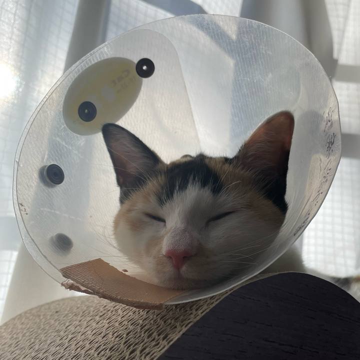 5fb2ead3 30d7 4661 b5ef 5e581a76243f 1672017020987