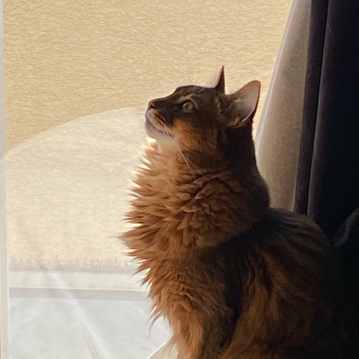 5fb2eb75 634d 44ab ad2e ebdd443cb65a 1735608259752