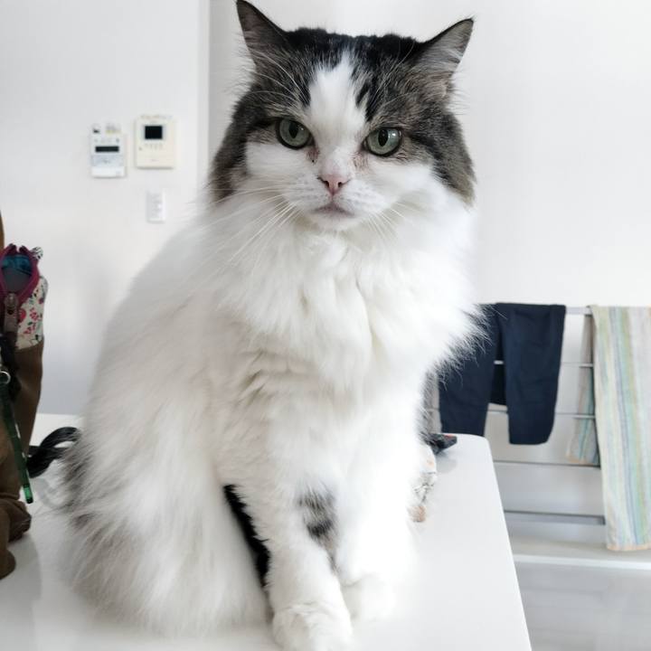 5fb33d65 2213 4741 b3d7 fd589de4a9a1 1770607453565