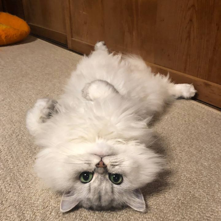 5fb37259 4fdd 432e 99ea 3d47a4dcdebf 1570835282578