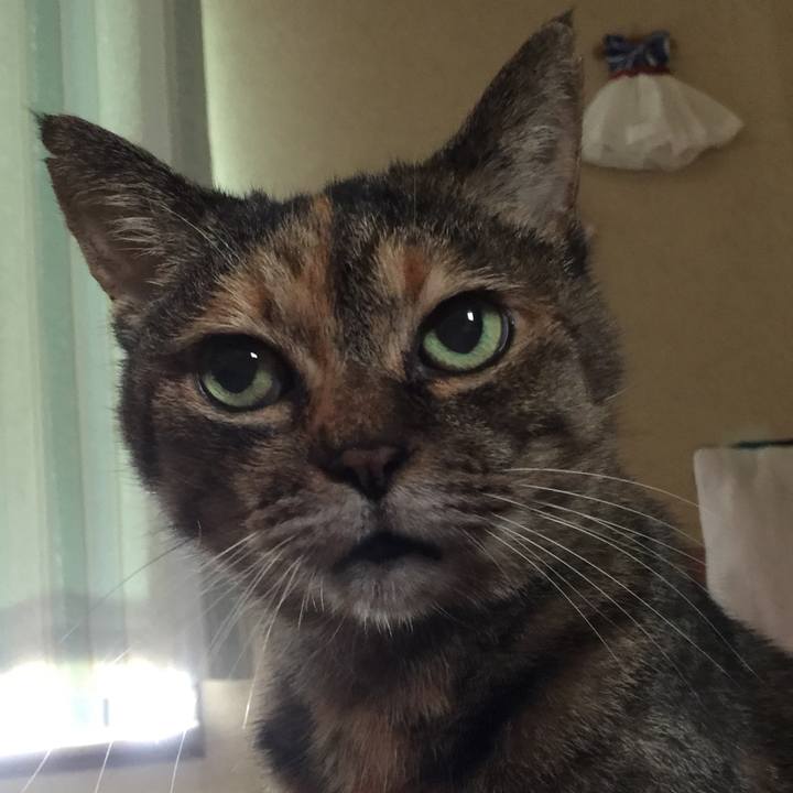 5fb38c33 2462 4382 a287 ee1de0529d92 1602552728383