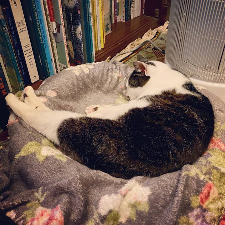 5fb39f8f 0075 4a36 b1ad fea5ff2d55c2 1611062441847