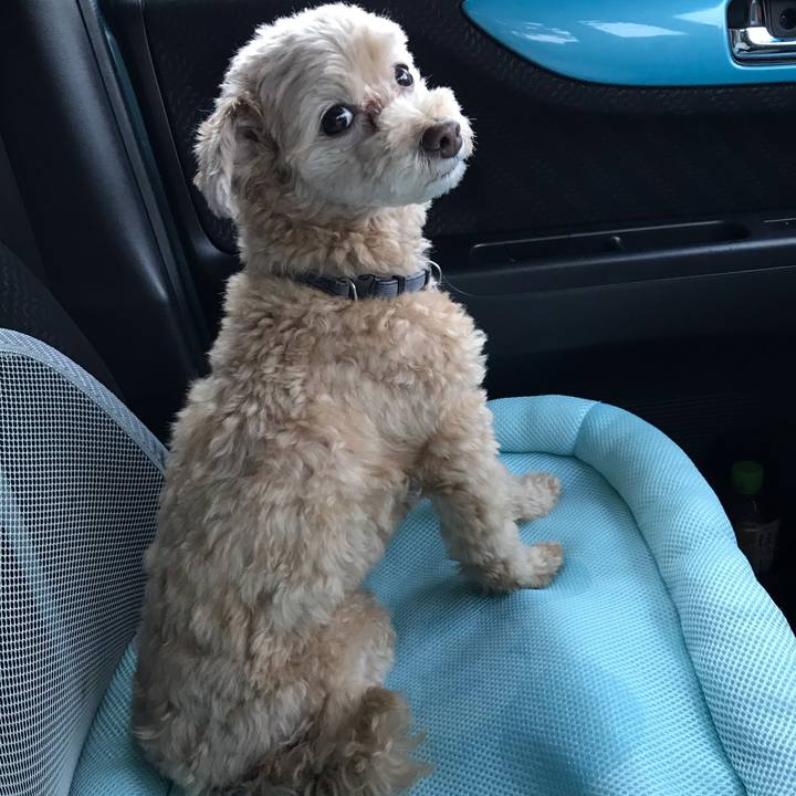 5fb3b975 2587 4ad7 b4f7 47a06e1822ed 1571787957968