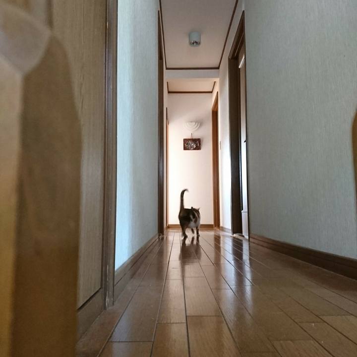 5fb3bc2f 62ca 4910 aa96 7e8f7f327aa6 1508281513030