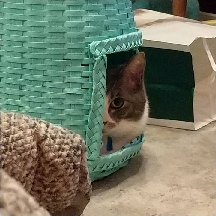 5fb3d30e d024 4176 9b09 b5dafc0d93a2 1614170537649