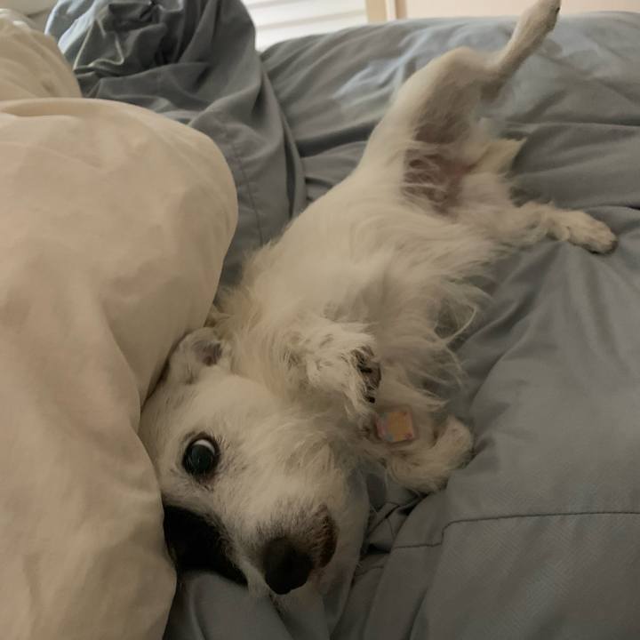 5fb3e8a3 f3a0 47d0 a81b 414e9bb0ba3f 1657202083235