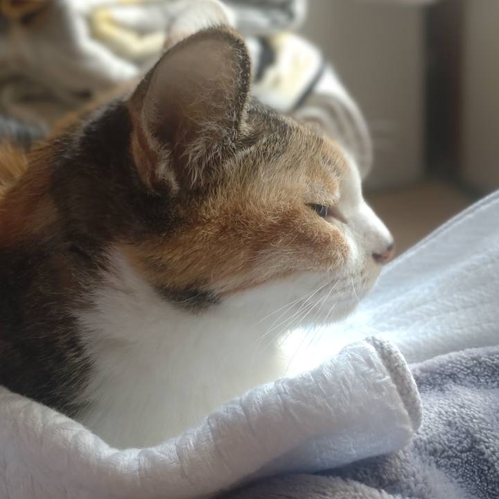 5fb3ee50 509c 4f8c 9401 d35f669b9820 1714354197153