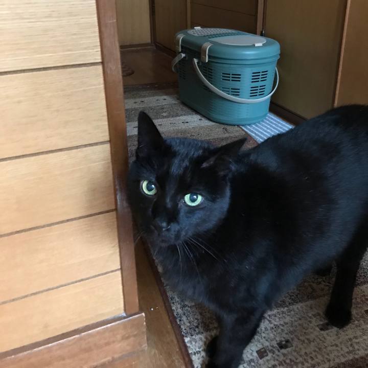 5fb4180e 47a7 4f2d af64 9a00ff61da85 1516499698105