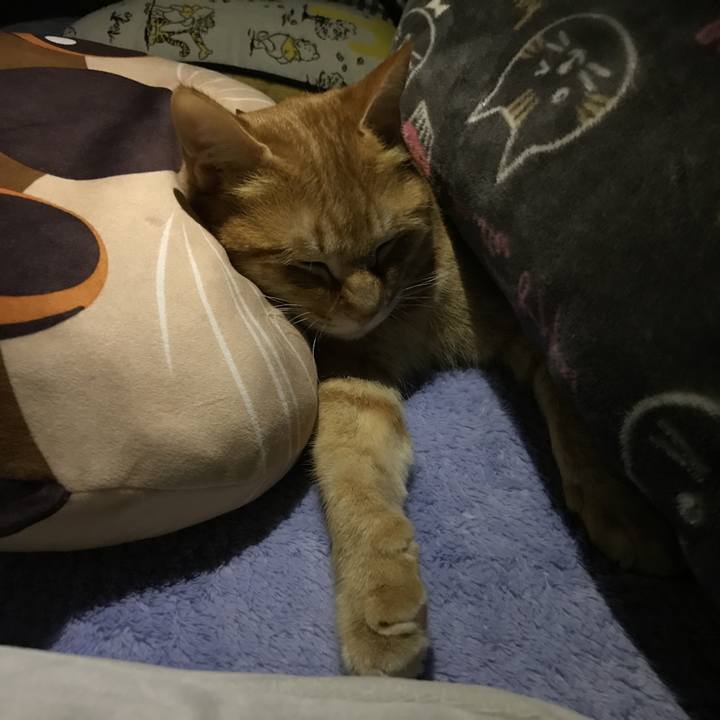 5fb41acc 0618 4e36 a757 3b439d730ff1 1551195329422