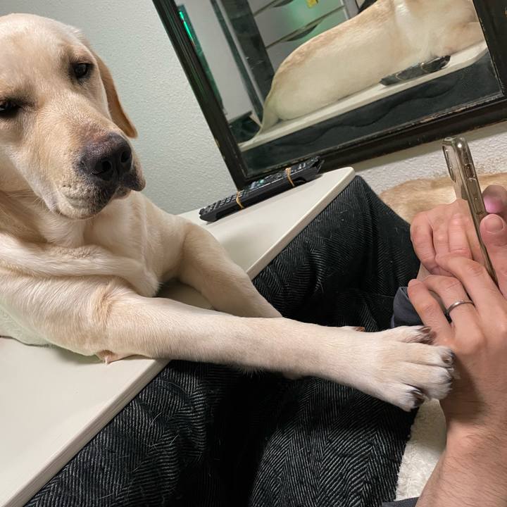 5fb43f7c 0bdf 413f 9493 4c71f2d3af5e 1641475821755