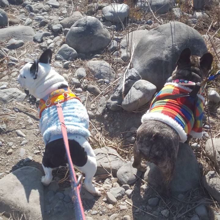 5fb4b929 6c14 4464 a06a 1238773c43a6 1675909749805