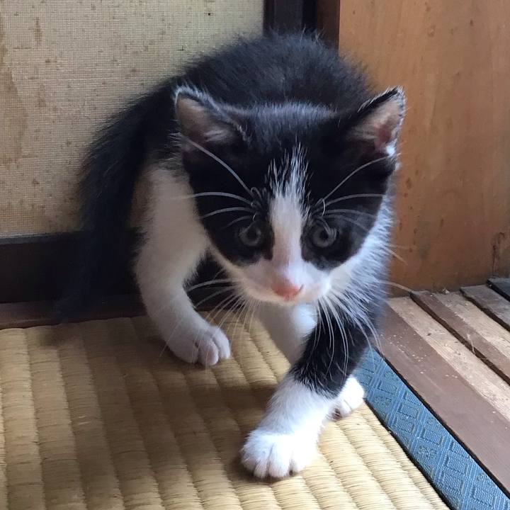 5fb4bf7c 06d9 42e9 b2a5 261d6e235cb4 1623651466543