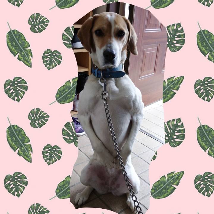 5fb517ab 5275 4f9b a7fa 3f11b4684c2f 1616239673818