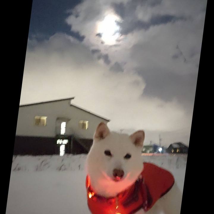 5fb51852 fa46 4cb8 9be4 48fb9ad1eaa7 1642504683806