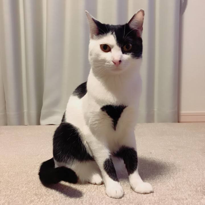 5fb51c84 d2b6 46e5 85f4 a5dc37e426dc 1512221042171