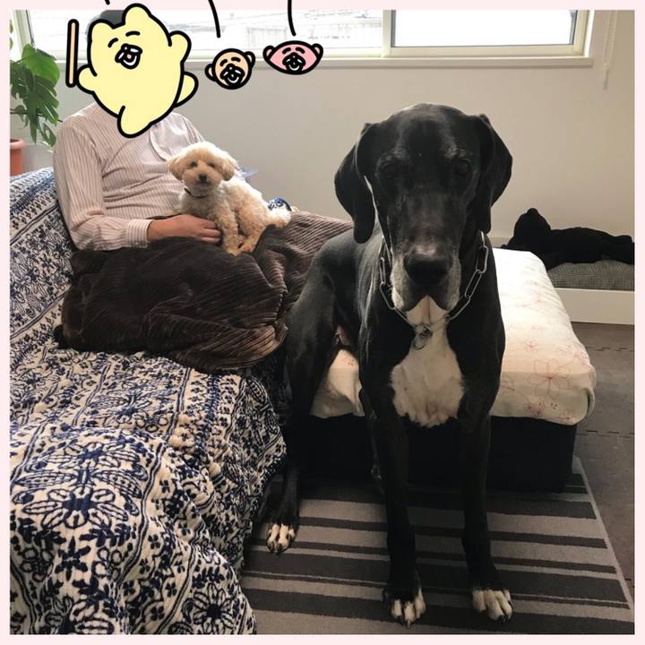 5fb536bd 63f2 4858 a07a 7eec2fdae209 1519253001335