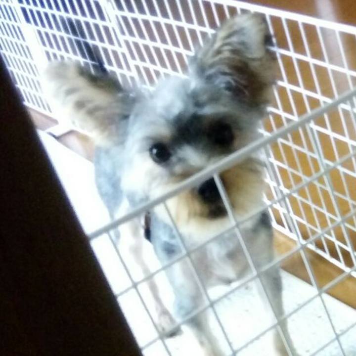 5fb53fd9 7e7d 4324 bea6 77e3656deb41 1535025033077