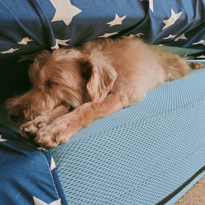 5fb55832 defa 4f8a a932 9138cd1b44da 1612232975528