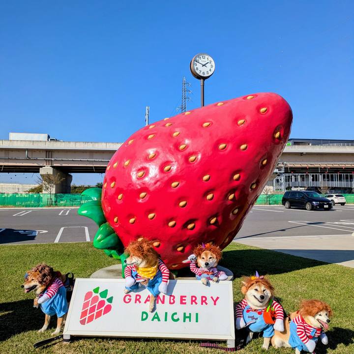 5fb5923b c3f6 4e9c b1ea 72a2cab92ee6 1761878920344