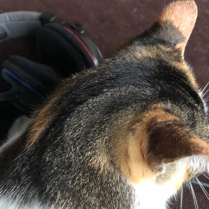 5fb5a8b7 9110 47fb 8844 8ba0facd36e2 1595987423221