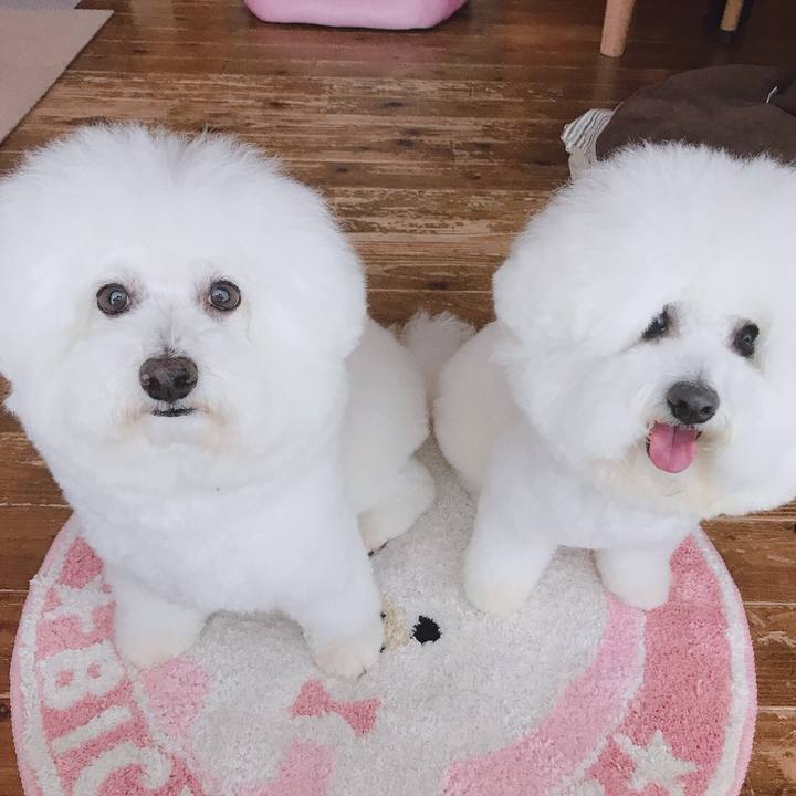 5fb5c885 3128 4b96 934f 17b141deb89a 1589009309558