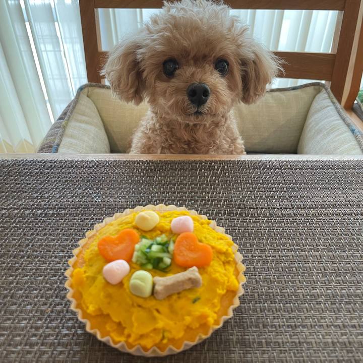 5fb606b4 ea18 4f60 95e2 f39e825f7774 1757647707164