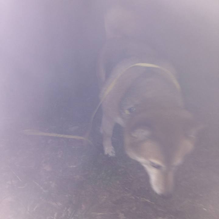 5fb61ed3 cd11 4bbd 8c1e 9eb6ef60210d 1549617298455