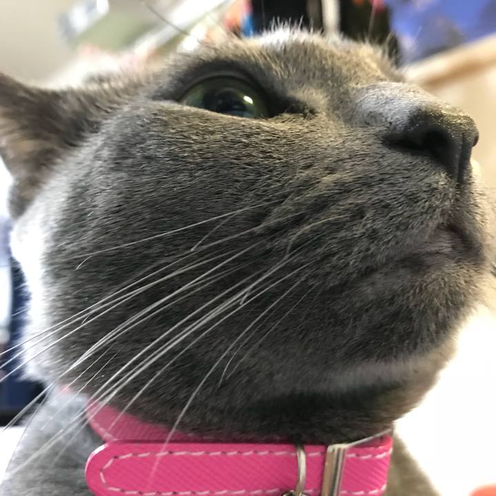 5fb63b15 d188 4b01 a63c d454fd11ae41 1516410365873