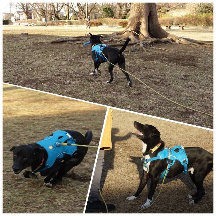 5fb648ec 8bad 4779 a68e 2406acb17908 1614042583844