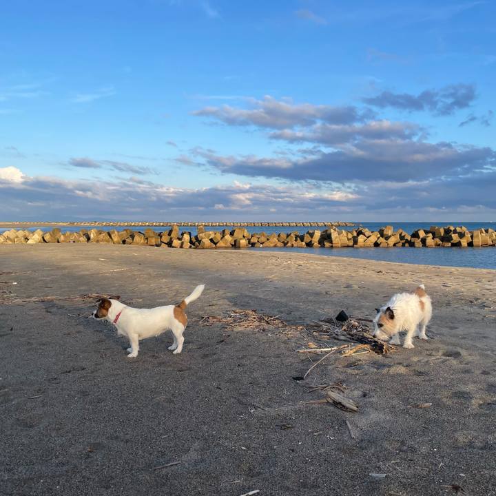 5fb694bb 0dab 4828 bb25 c69ffa5dec18 1730329573858