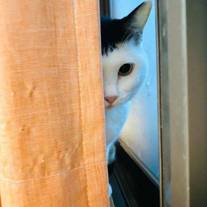 5fb6c496 b326 4b6a a49f e81e6e3018b1 1666785925213