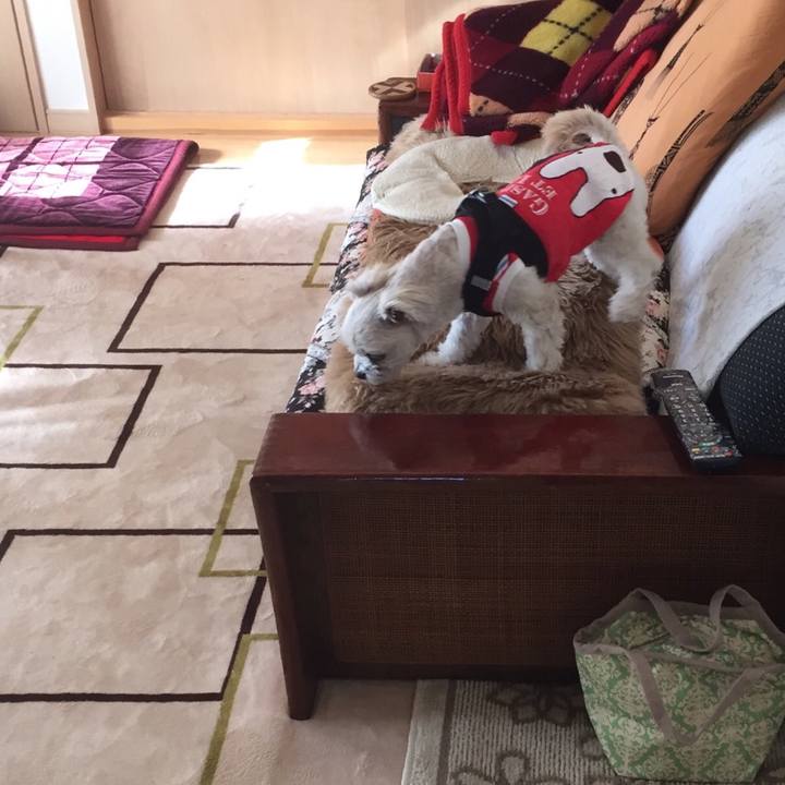 5fb6f4b0 11ae 45ea 8d81 12cb318b84ab 1515584022689