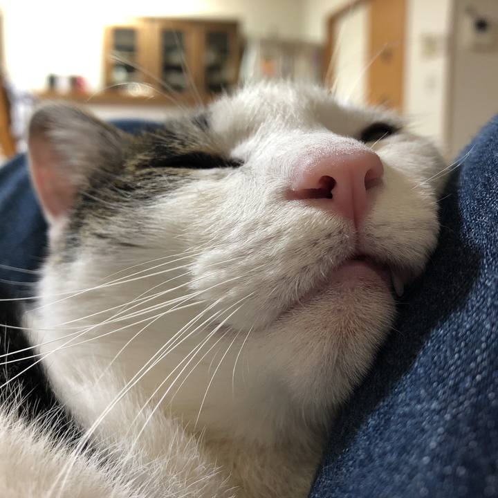 5fb6f77c 4fa9 479c ad35 225f35151783 1620915181785