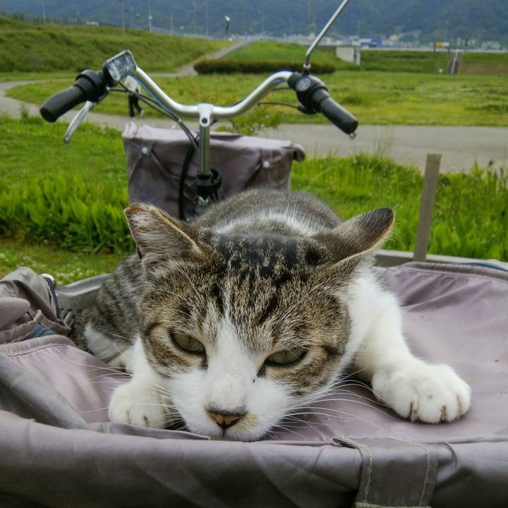 5fb70433 359f 41ea 841e 0efb3f7c0feb 1559260123554