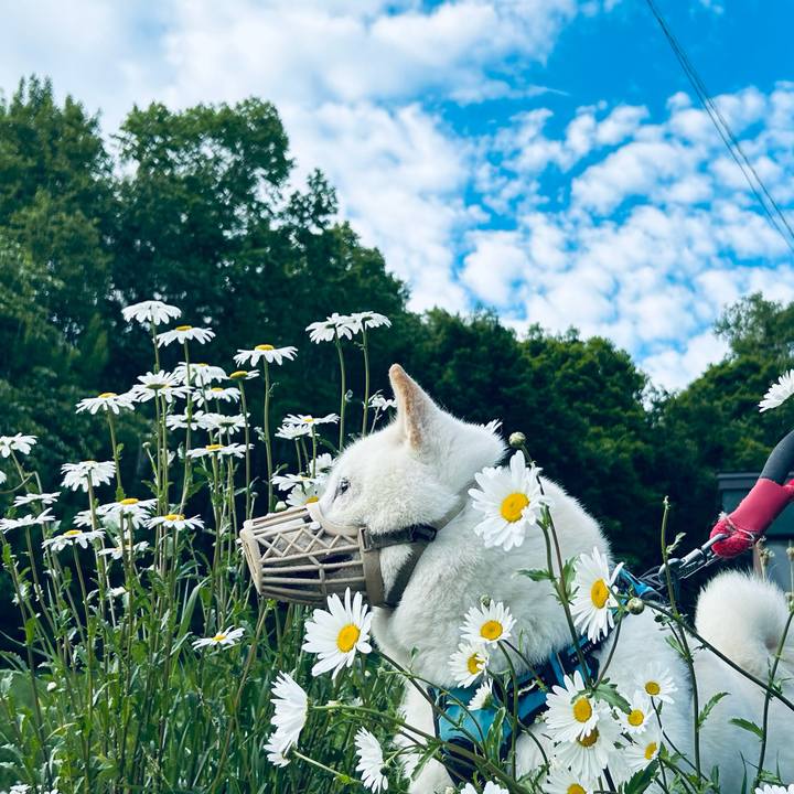 5fb74b1d f532 4a0e b633 c67f3b563b52 1749333478082