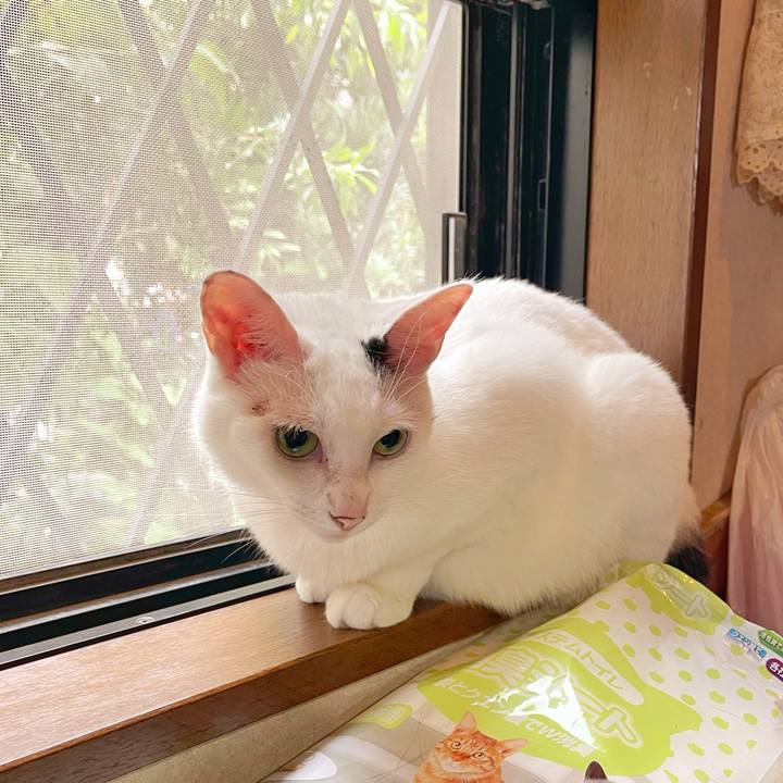 5fb75e28 2d74 49a3 92ff 712990e57b0f 1757630919283