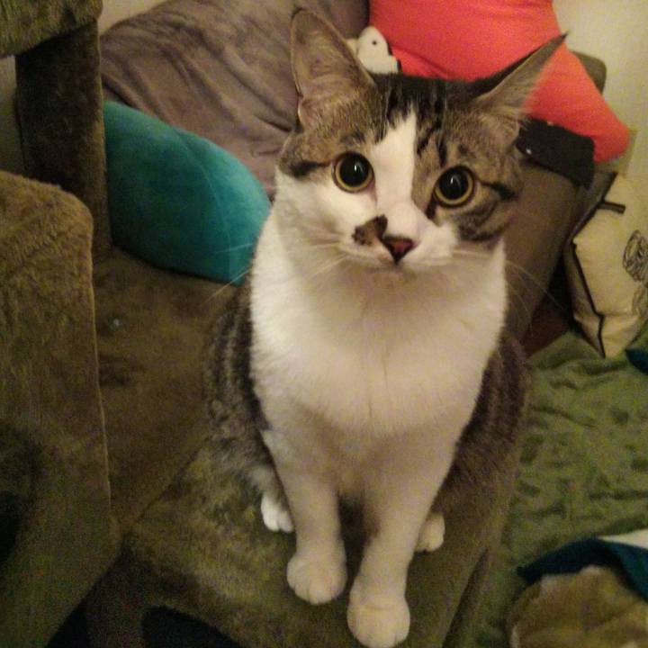 5fb7a45c 8351 49d6 9d41 2f070cebd53b 1637189122378