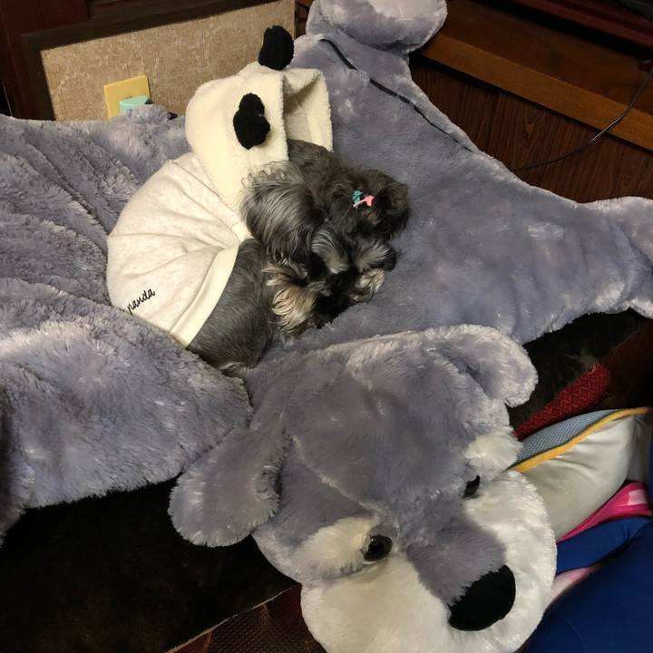 5fb7bfe0 147e 4cd3 8422 e8dd84fd8db7 1552912973082