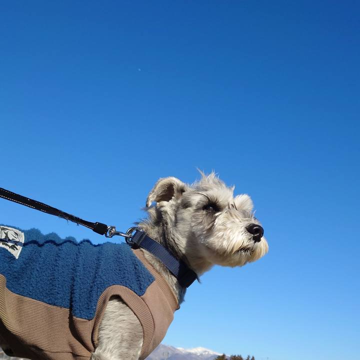 5fb7d870 0986 4494 a833 af4566d84340 1773184121910