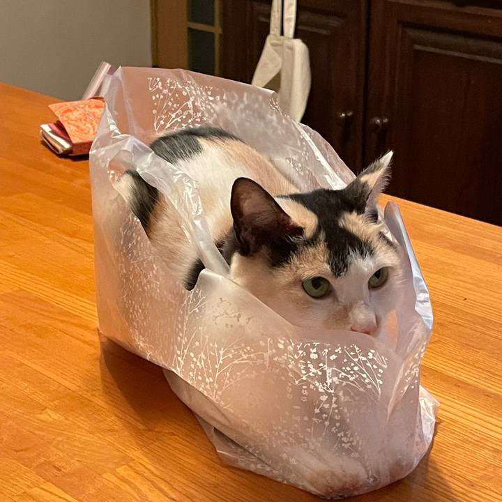 5fb80bf6 c107 4c70 ab0c 0953492d5bee 1737640052551