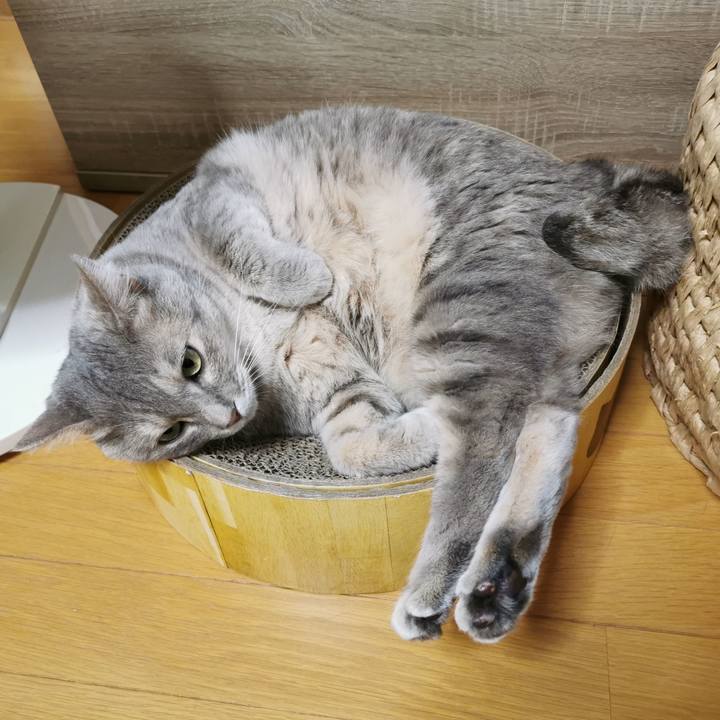 5fb80fca 8ac9 4537 8685 8fd63754860f 1628940206246