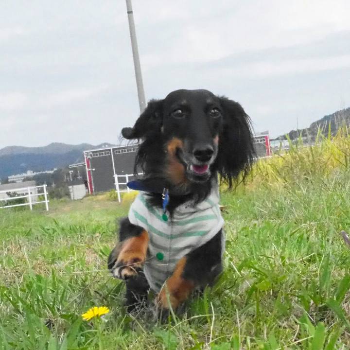 5fb8259f 498c 4132 91b0 7b1552da6c90 1539402030259